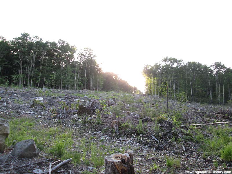 The proposed lift line cut (July 2014)