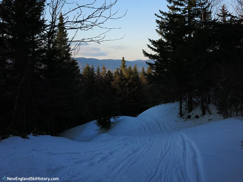 A former ski trail (2014)