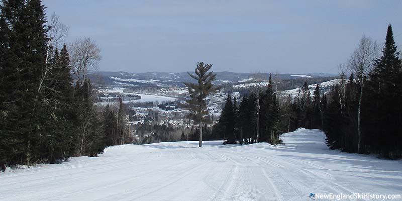 A lonesome pine tree atop the Founders slope (2017)