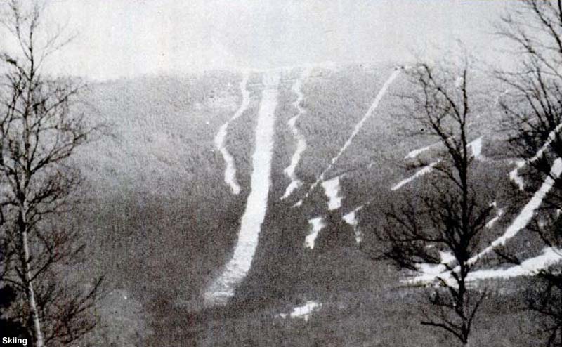 The gondola lift line (Bronco Buster) circa the early 1980s