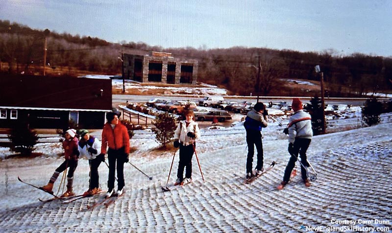 Turf skiing