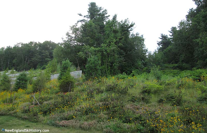 The former ski slopes behind Brightview Senior Living Facility