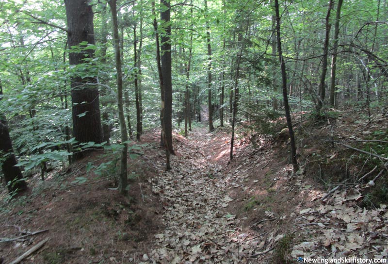 The former Gunstock Ski Hoist lift line (2022)