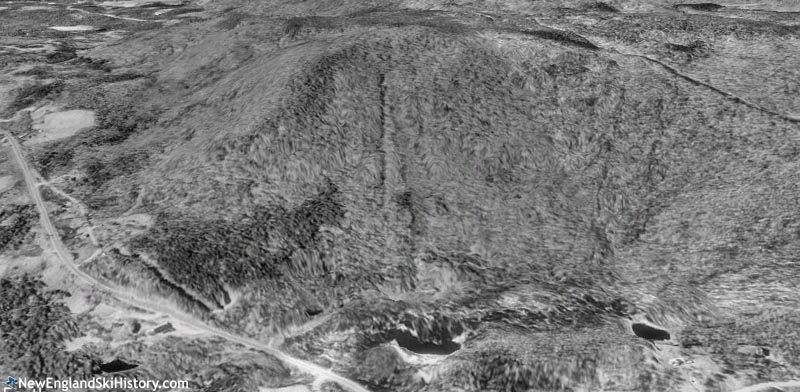 A Google Earth rendering of the remains of the Winhall Ski Bowl circa the 1990s