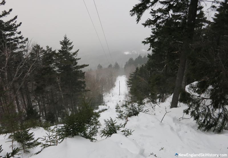 The steep power line cut (March 2015)