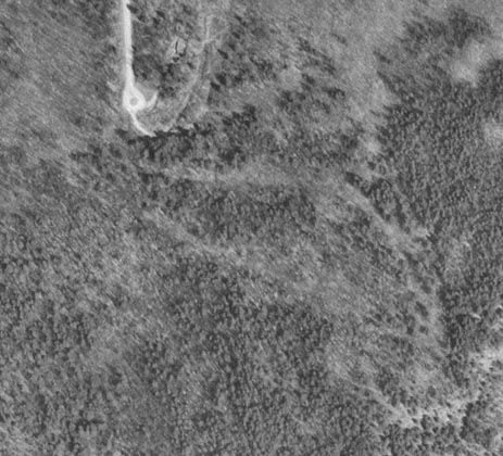 1998 USGS aerial photo showing old ski trail cuts