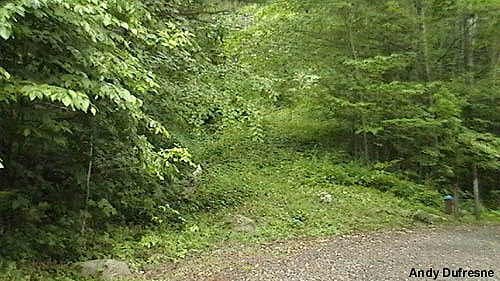 The bottom of the trail at the F. Duncan Case Ski Area (2009)