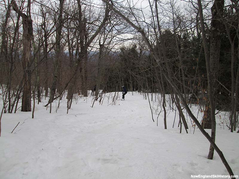 The Pine Hill Trail in March 2015