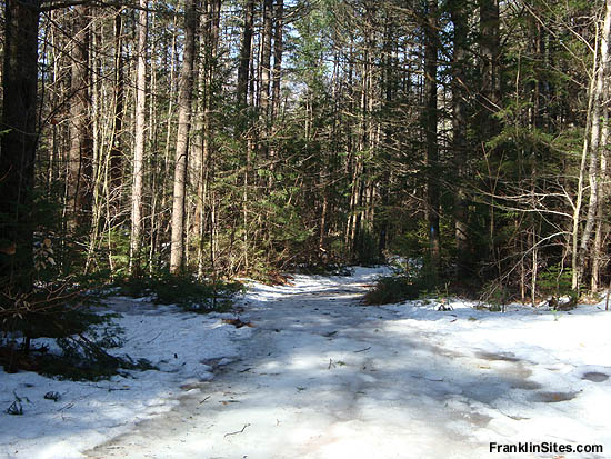 Lower portion of the Kinsman Ski Trail (2009)