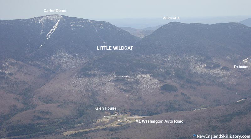 Little Wildcat Mountain in 2010
