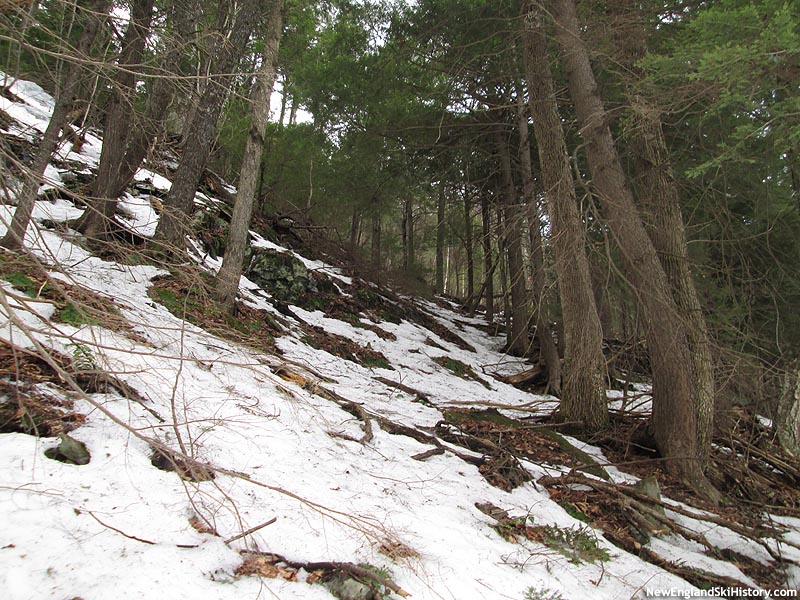 Possible middle trail remnants April 2015