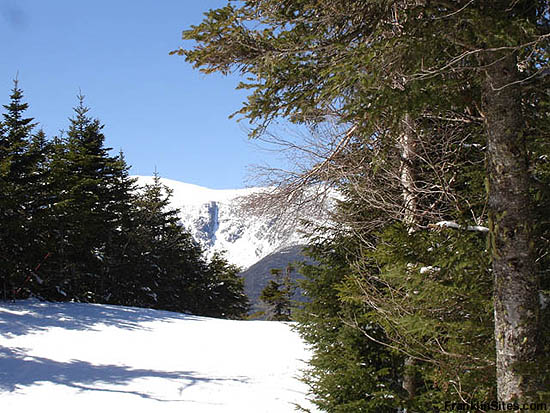Upper Wildcat Ski Trail (2006)
