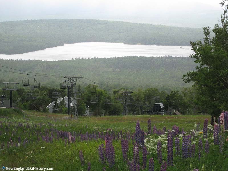 The lift line (2016)