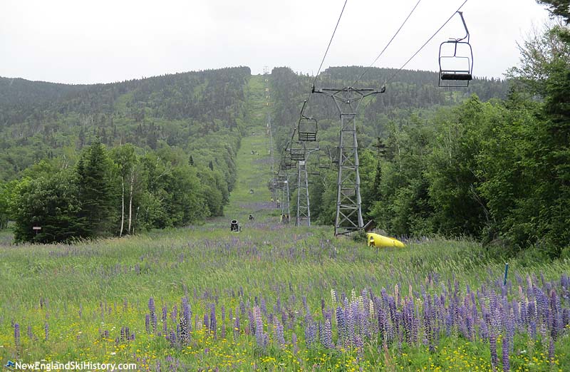 The lift line (2017)