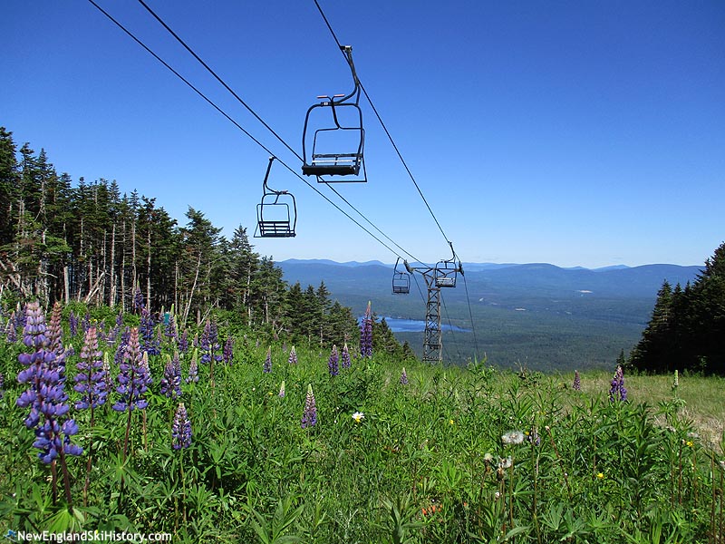 The lift line (July 2019)