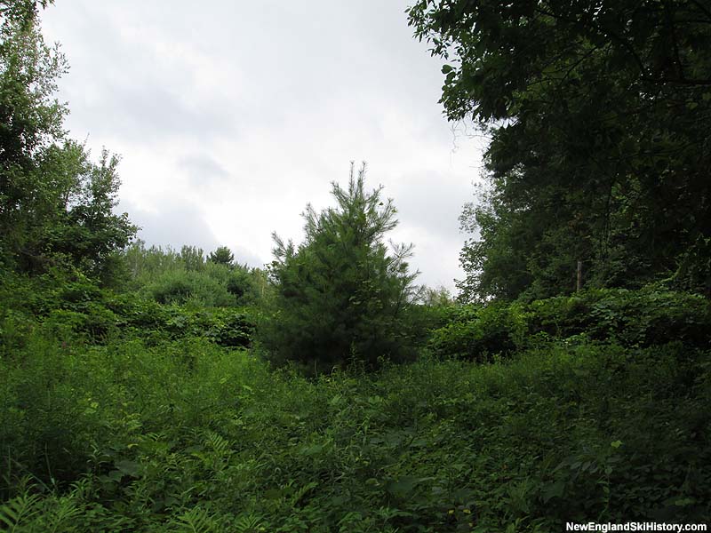 The lift line (2015)