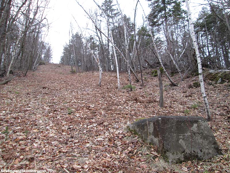 Looking up the former lift line (2014)