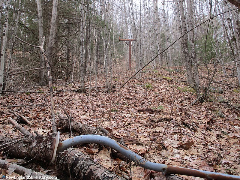 A platter (March 2024)