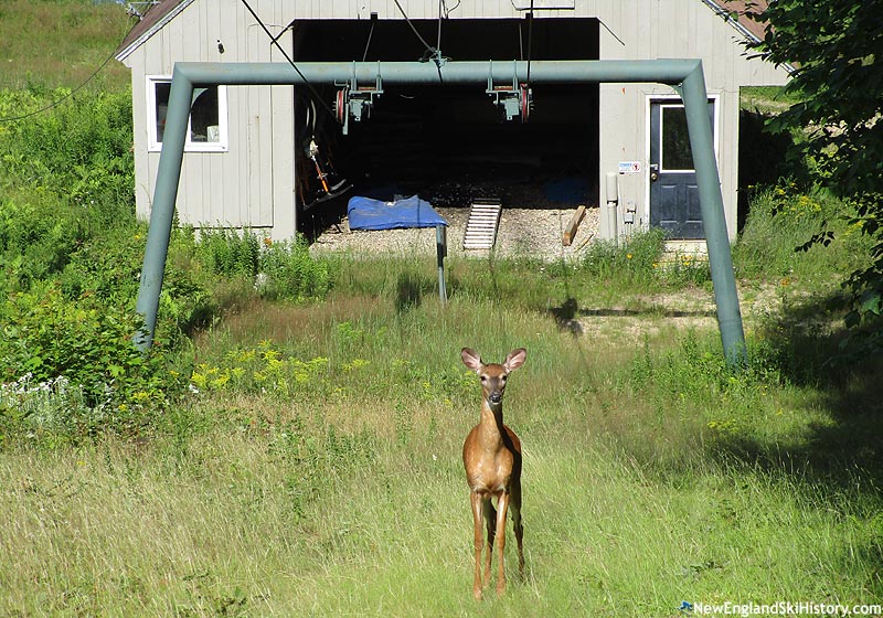 The base terminal (July 2021)