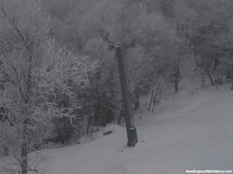 Vista Double during removal in 2006