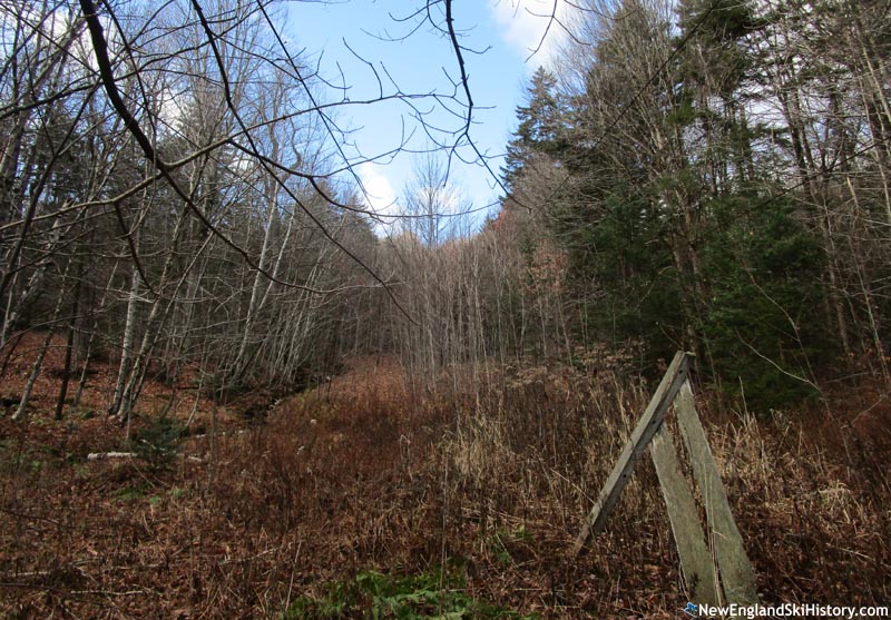 The lift line (November 2023)