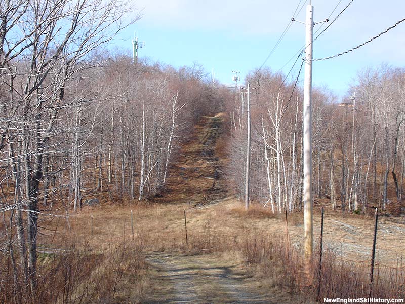 The upper portion of the summit T-Bar lift line (2005)