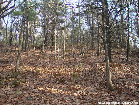 Looking up the upper Cobble Mountain slope (2010)