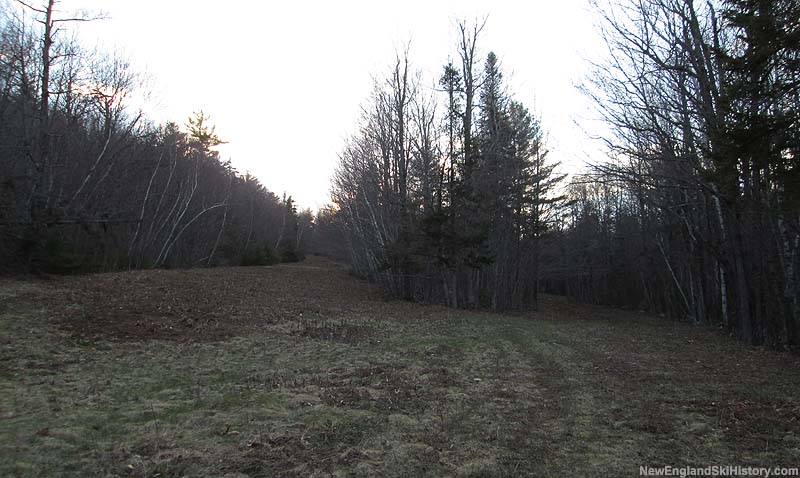 The lower junction of Jabberwocky and Brilligs Run (2014)