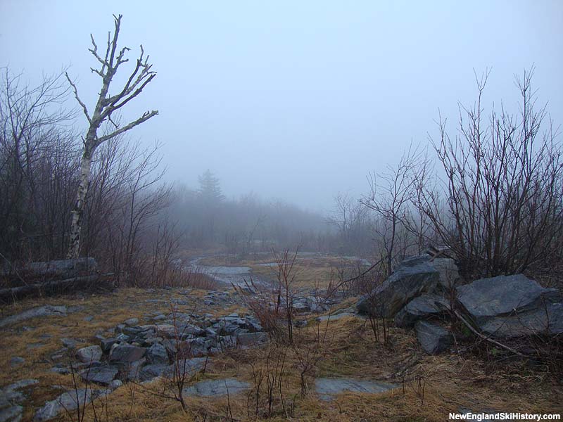 Near the top of the summit area (2010)