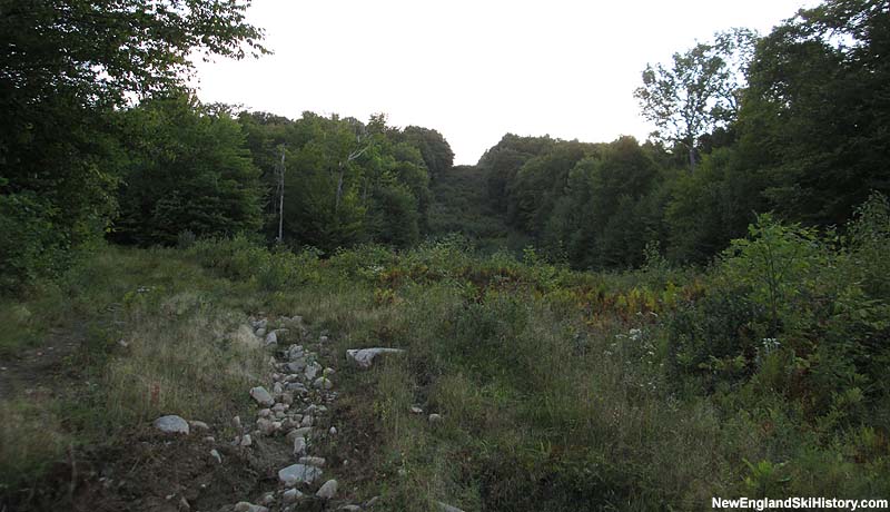 Looking up the lower portion of the summit triple chairlift lift line, the Sweet William trail (2014)