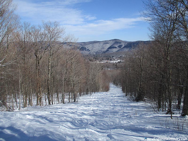Looking down the connector trail (2016)