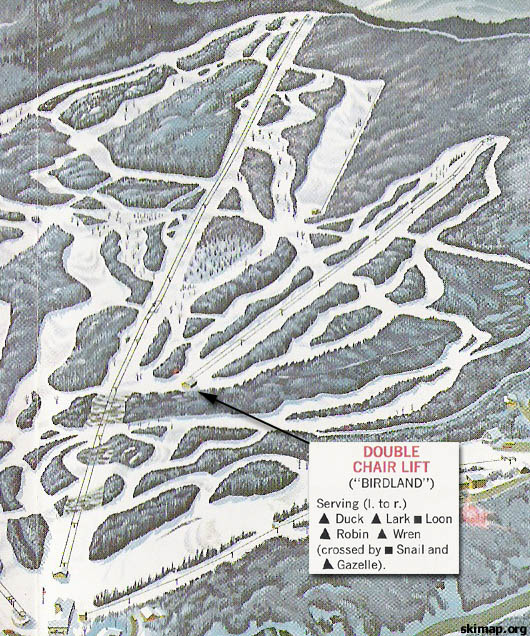 Birdland Area - Mad River Glen - New England Ski Area Expansions