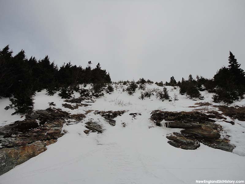 An abandoned upper Spruce Peak trail in 2013