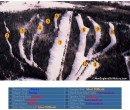 2003-04 Mt. Jefferson Trail Map