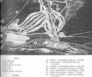 1963-64 Cannon Mountain Trail Map