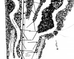 1972 Storrs Hill Map