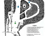 2024-25 Storrs Hill Trail Map