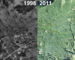 Camden Snow Bowl Aerial Imagery, 1998 vs. 2011