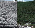 Beartown Mountain Aerial Imagery, 1971 vs. 2003