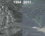 Balsams Wilderness Aerial Imagery, 1994 vs. 2011