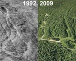 Snow Valley Aerial Imagery, 1992 vs. 2009