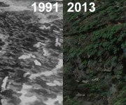 Lakeridge Ski Area Aerial Imagery, 1991 vs. 2013