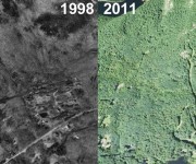 Camden Snow Bowl Aerial Imagery, 1998 vs. 2011