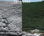 Beartown Mountain Aerial Imagery, 1971 vs. 2003