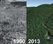 Berkshire East Aerial Imagery, 1960 vs. 2013