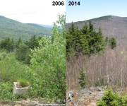 The former top terminal of the quad chairlift, 2006 vs. 2014