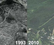 Timber Ridge Aerial Imagery, 1993 vs. 2010