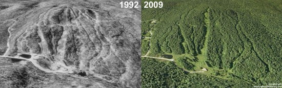 Snow Valley Aerial Imagery, 1992 vs. 2009