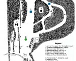 2023-24 Storrs Hill Trail Map