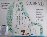 2013-14 Cochran's Ski Area Trail Map